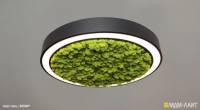Круглый потолочный подвесной светильник hoop! 50 moss - Световые Проекты