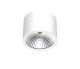 Светодиодный светильник Ардатов ДПО39-25-001 Сylinder 840 - Световые Проекты