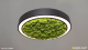 Круглый потолочный накладной светильник hoop! 50 moss - Световые Проекты