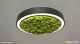 Круглый потолочный подвесной светильник hoop! 50 moss - Световые Проекты